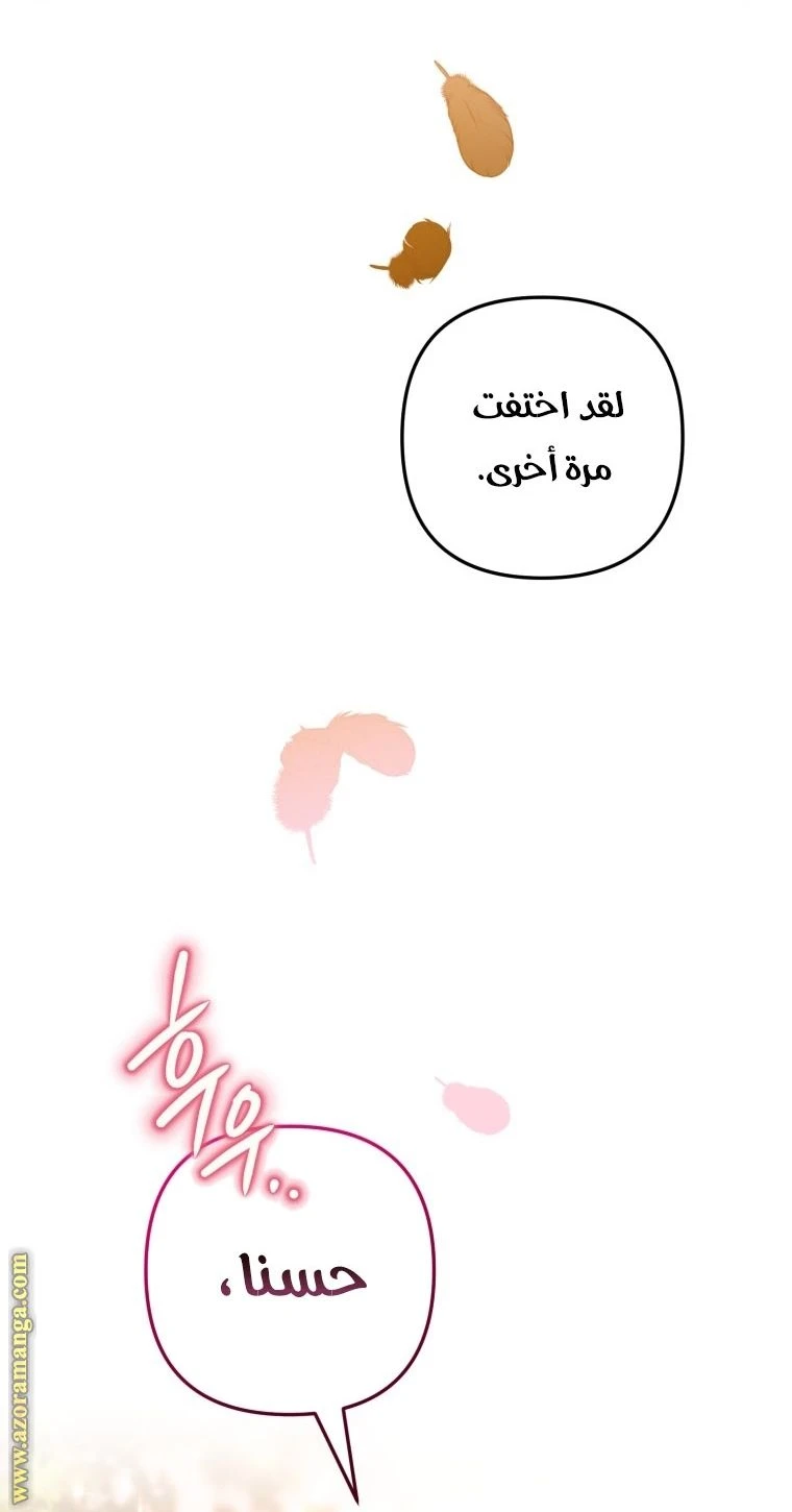 الصفحة 46