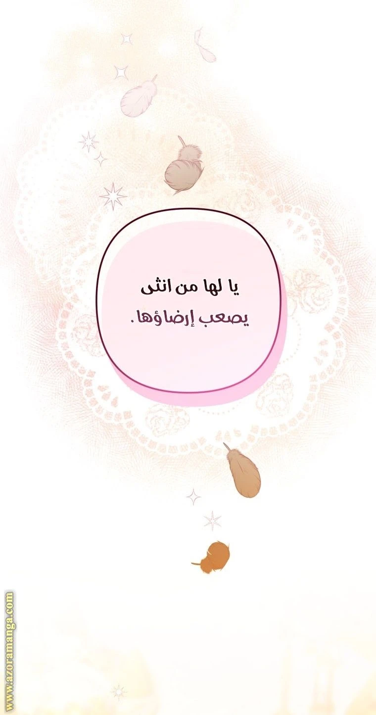 الصفحة 48