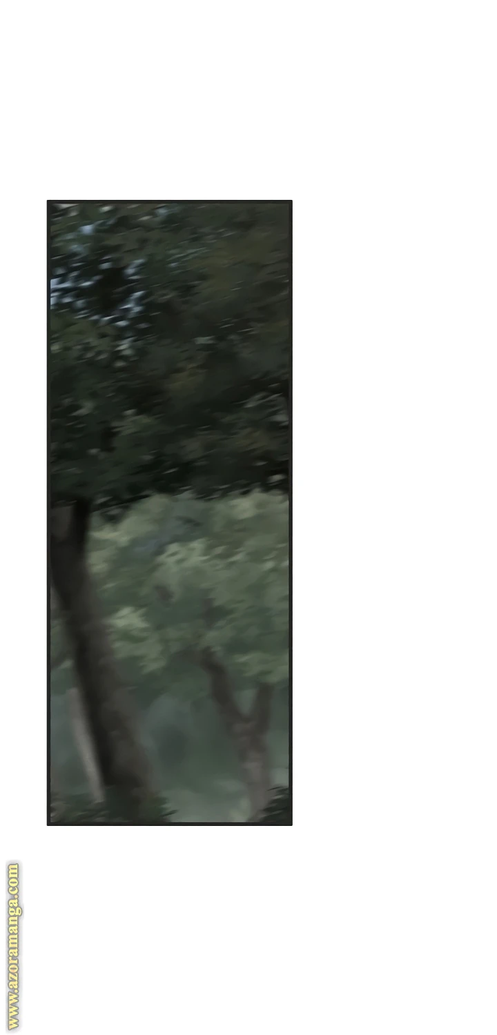 الصفحة 46
