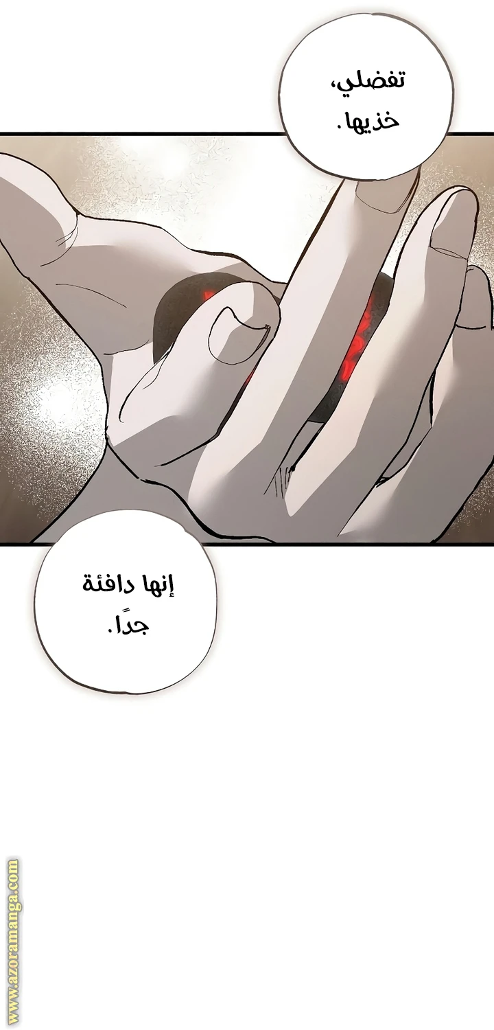 الصفحة 74