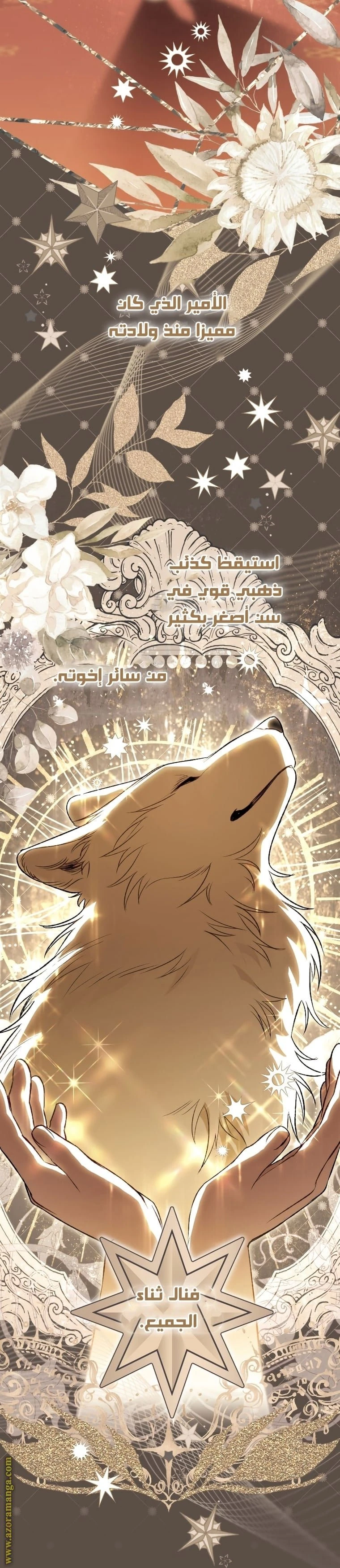 الصفحة 15