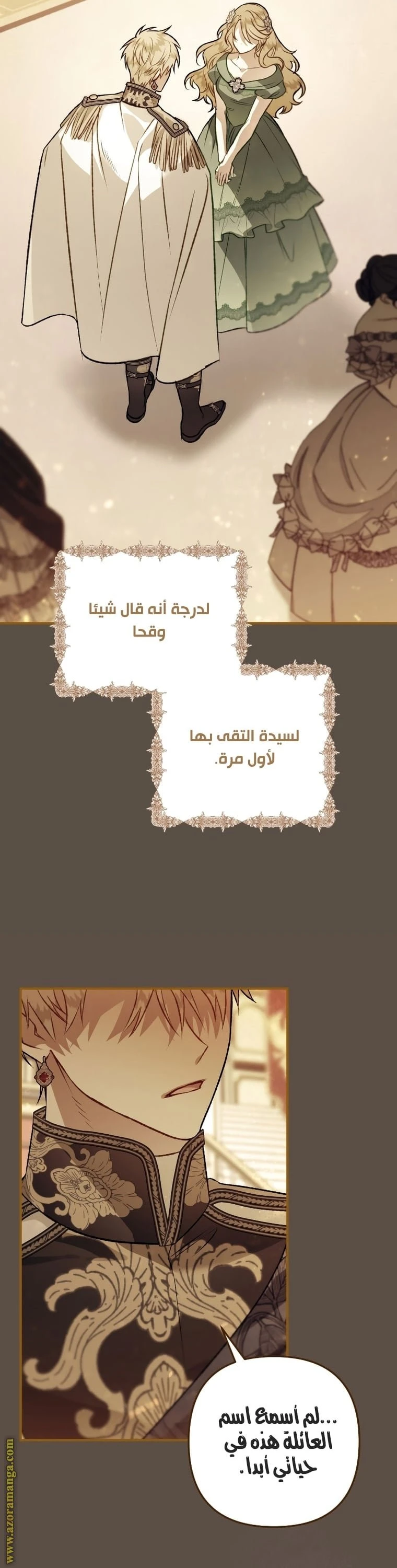 الصفحة 17