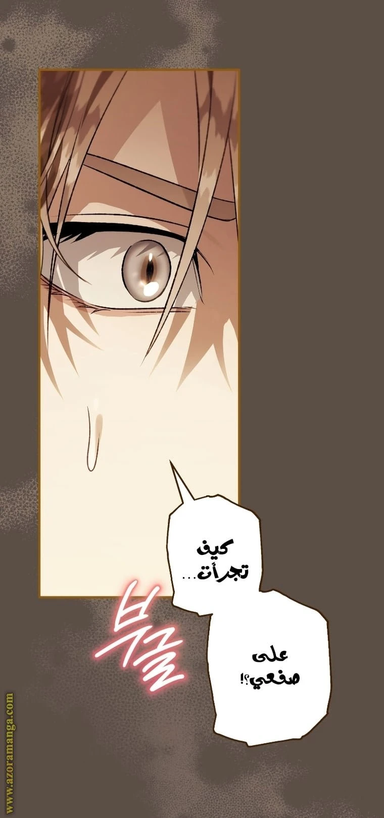 الصفحة 30
