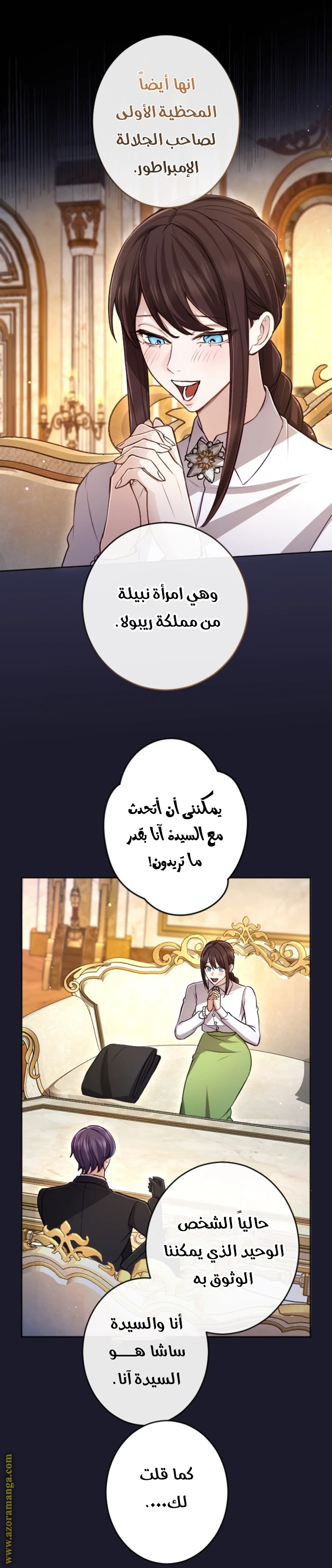 الصفحة 17