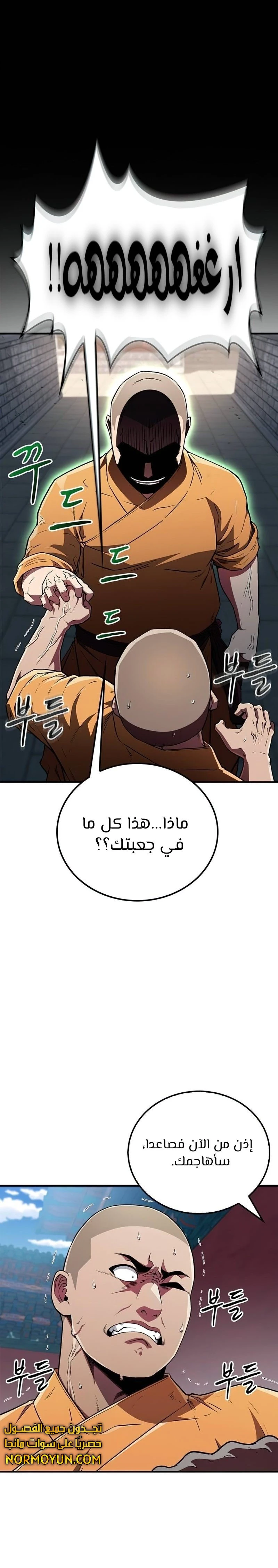 الصفحة 17