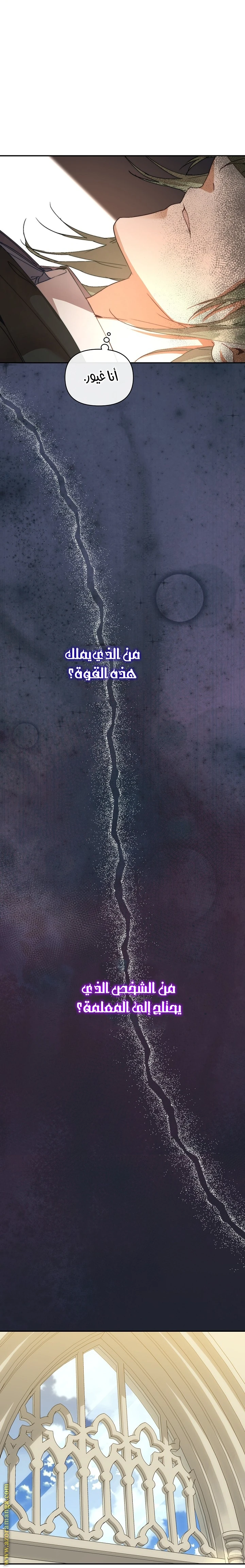 الصفحة 25