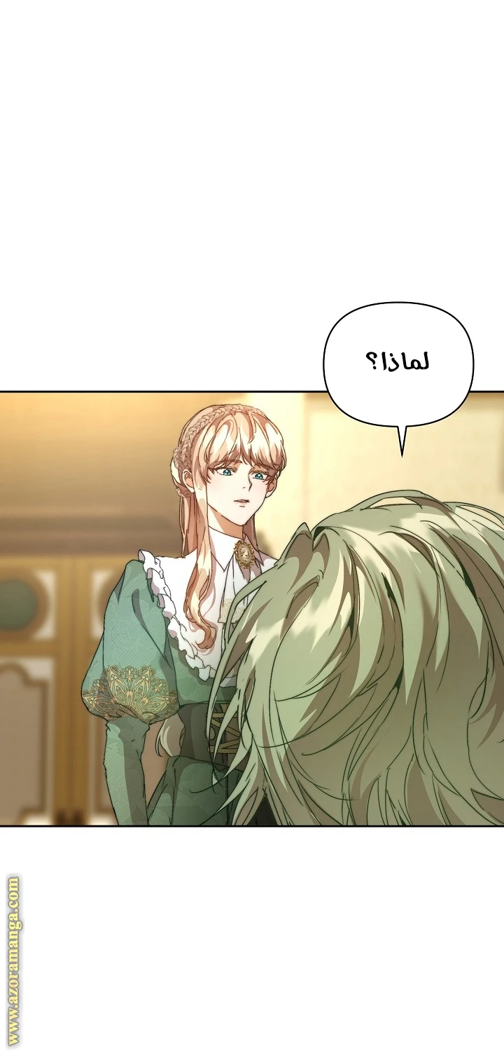 الصفحة 41
