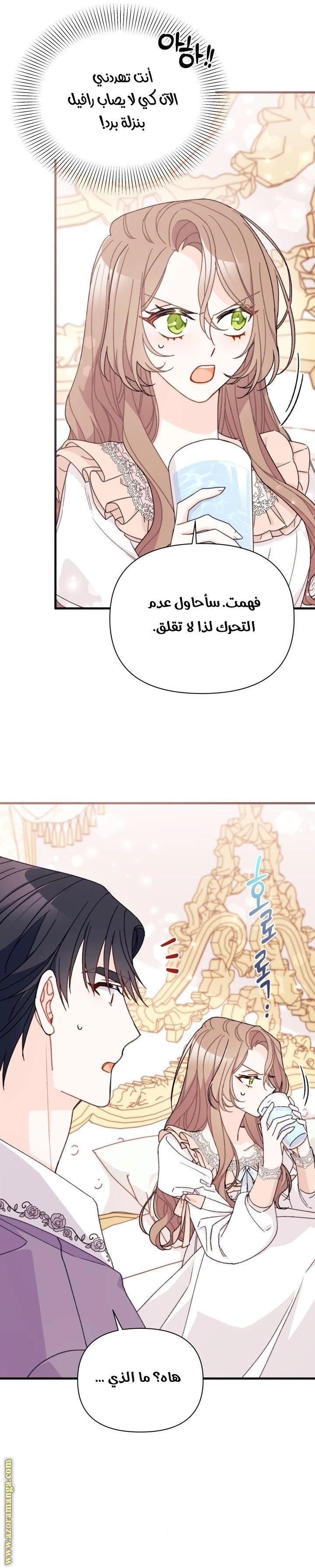 الصفحة 12