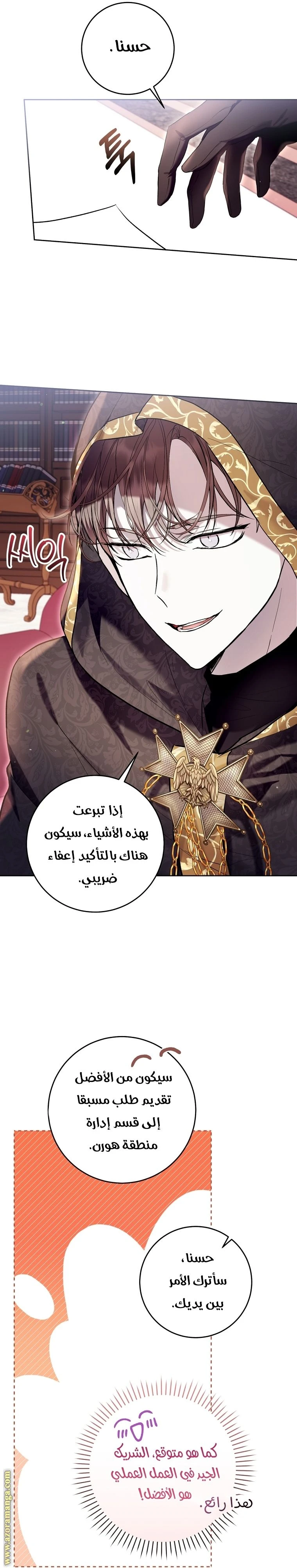 الصفحة 13