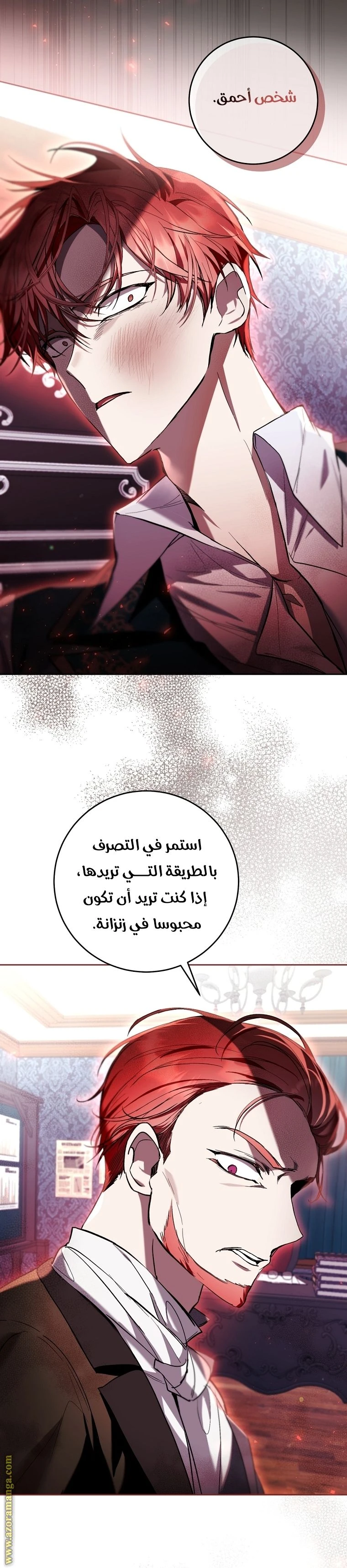 الصفحة 25