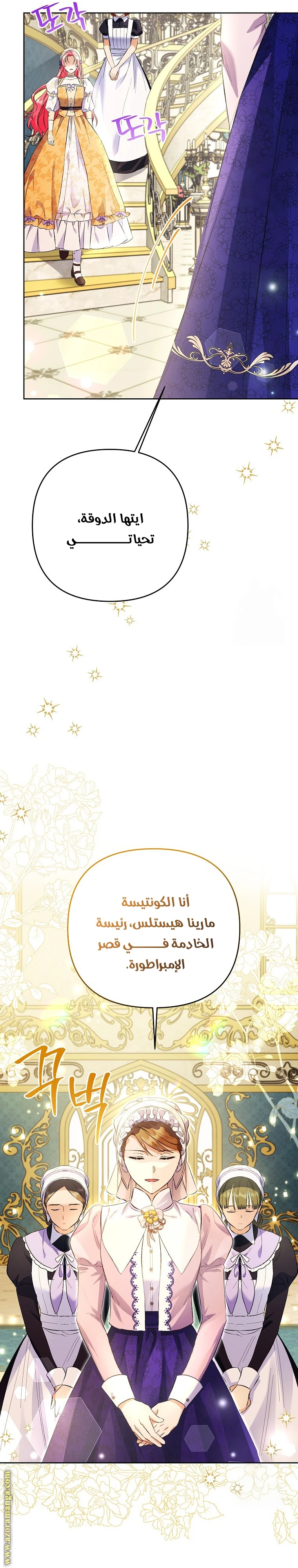 الصفحة 14