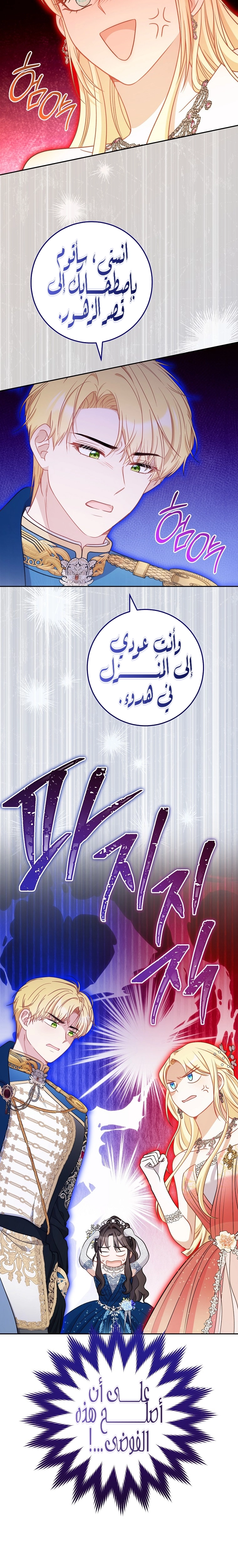 الصفحة 17