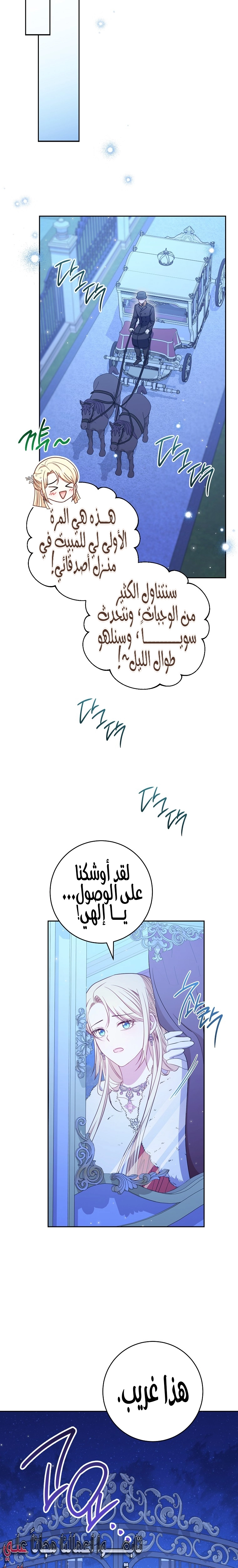 الصفحة 20