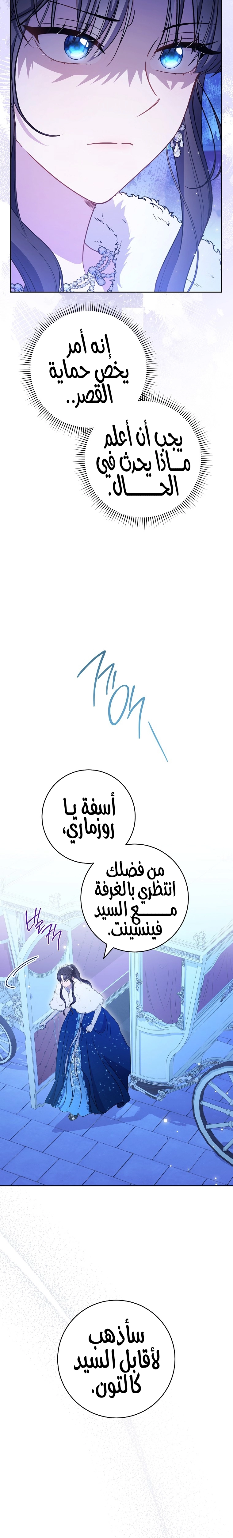 الصفحة 25