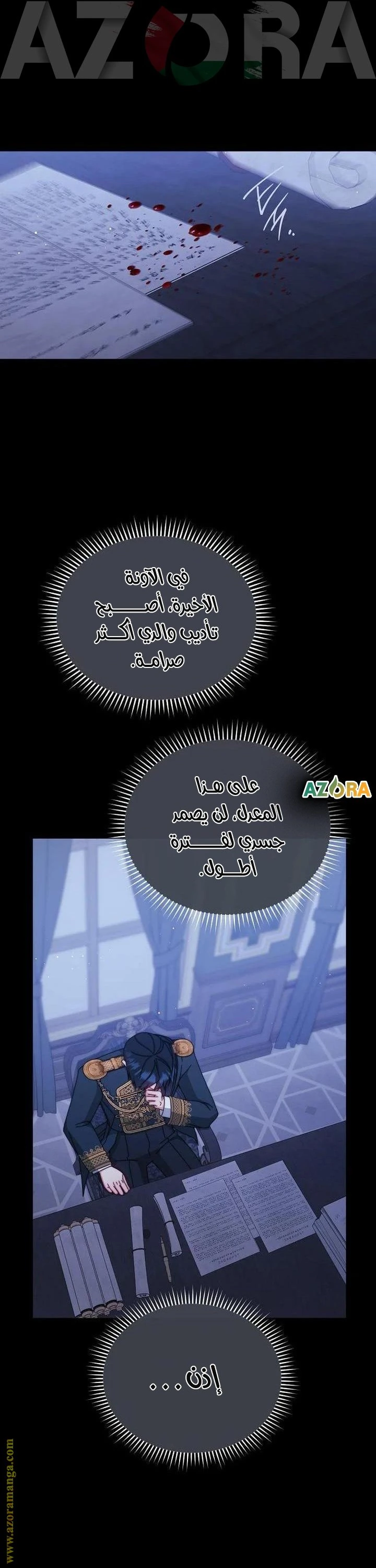 الصفحة 17
