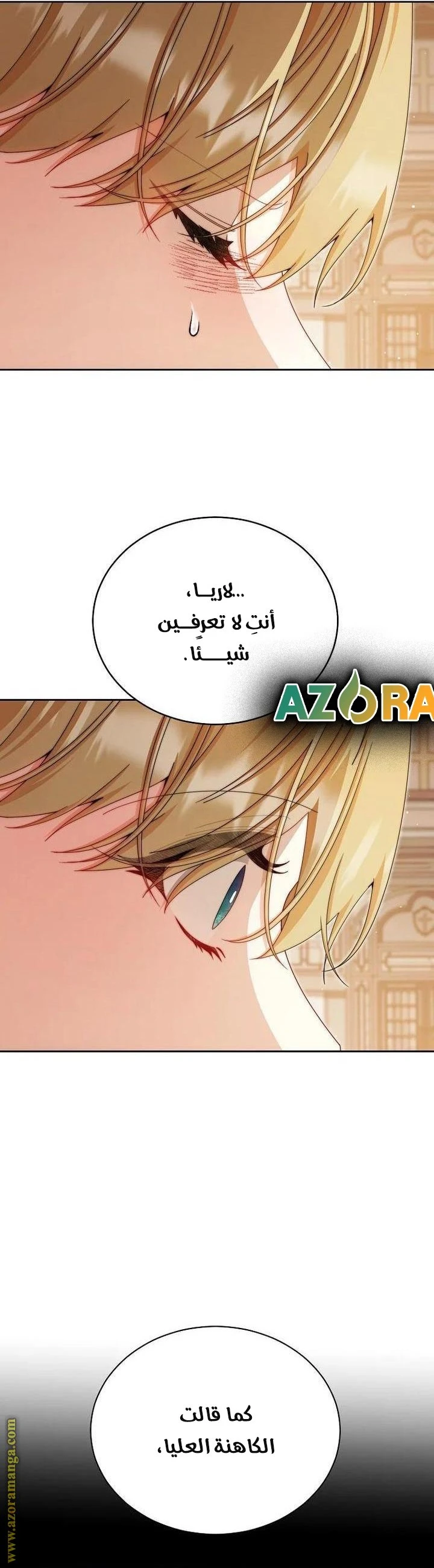 الصفحة 26