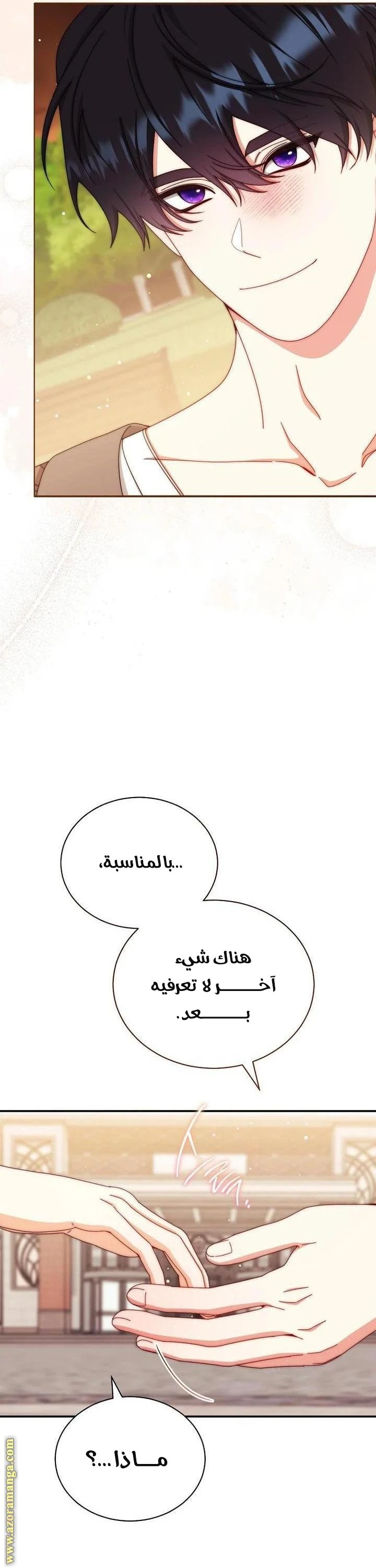 الصفحة 40