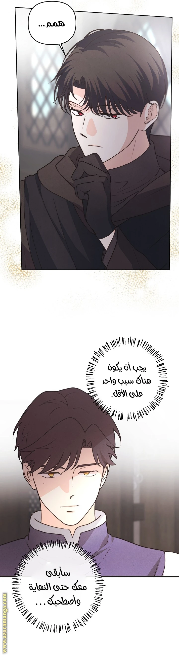 الصفحة 13