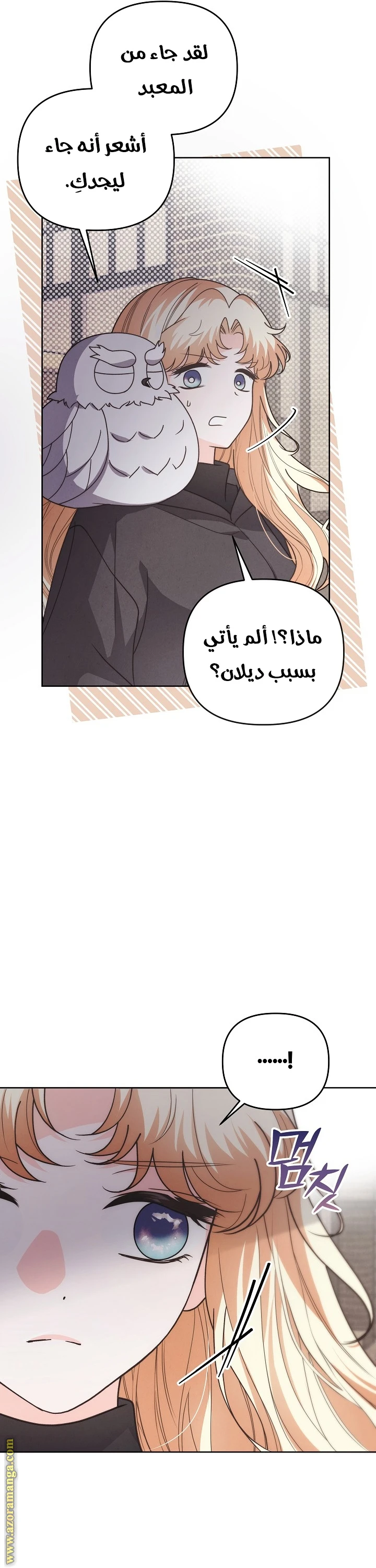 الصفحة 29