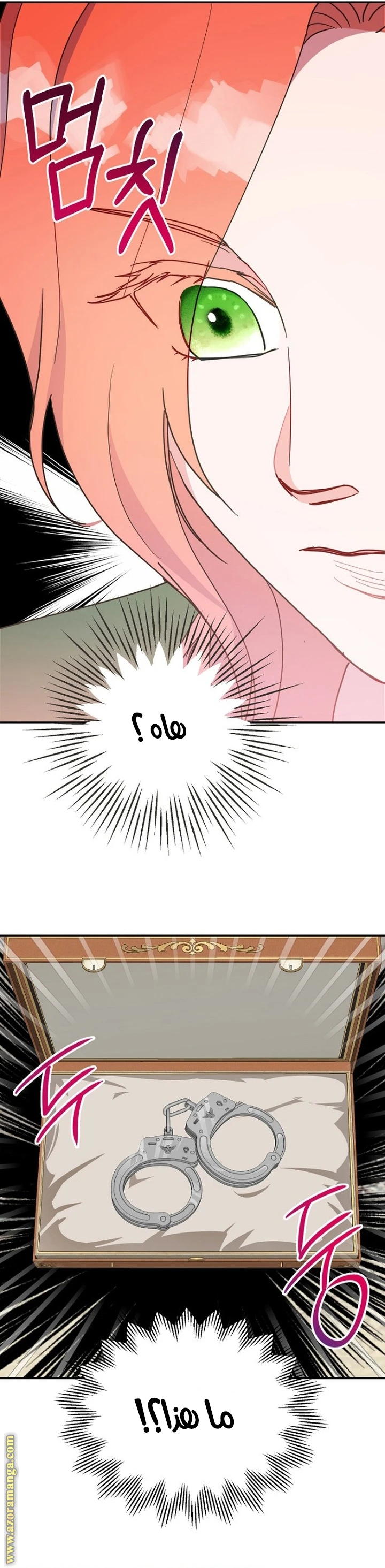 الصفحة 18