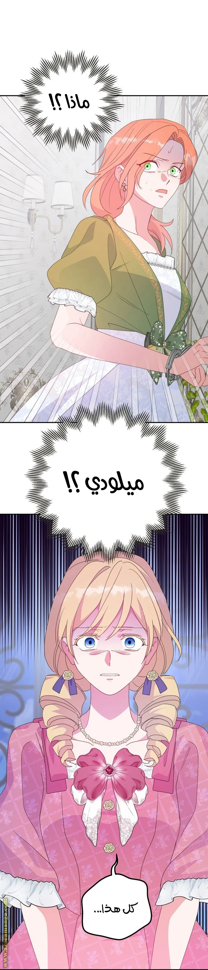 الصفحة 25