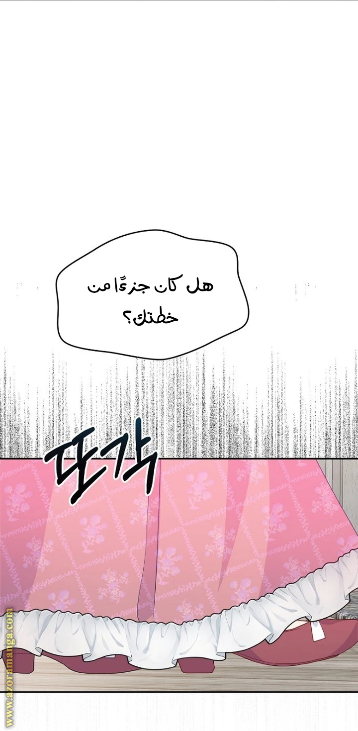 الصفحة 26