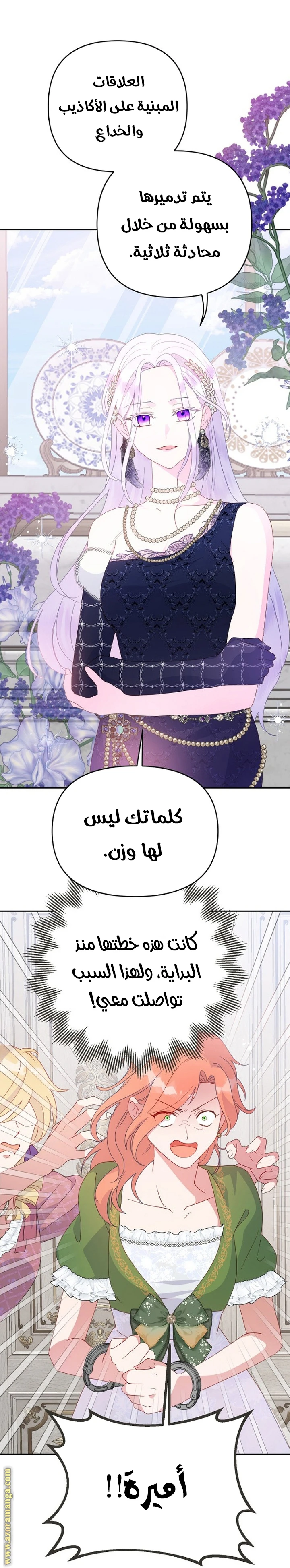 الصفحة 29