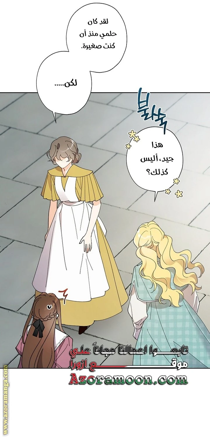 الصفحة 41