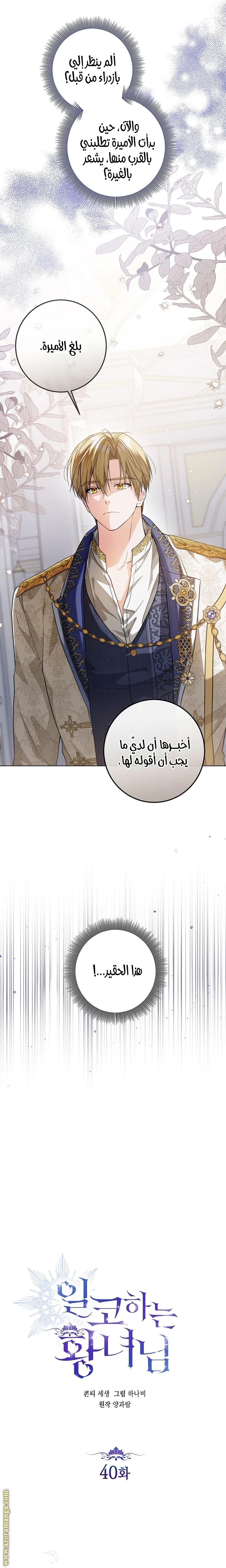 الصفحة 13