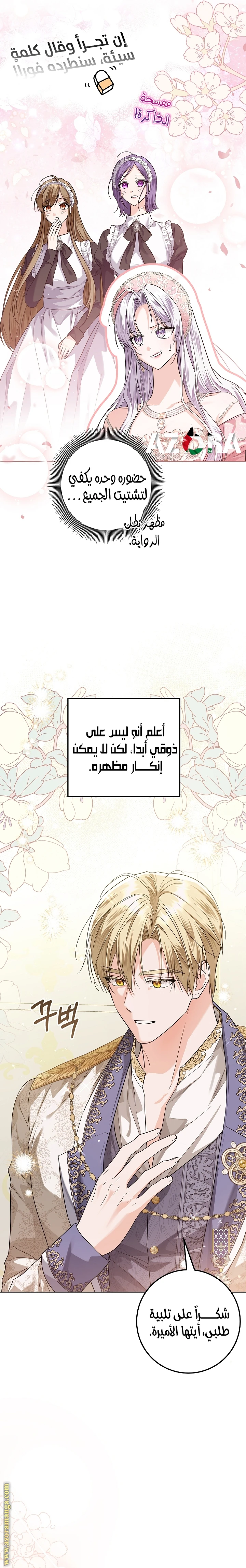 الصفحة 19
