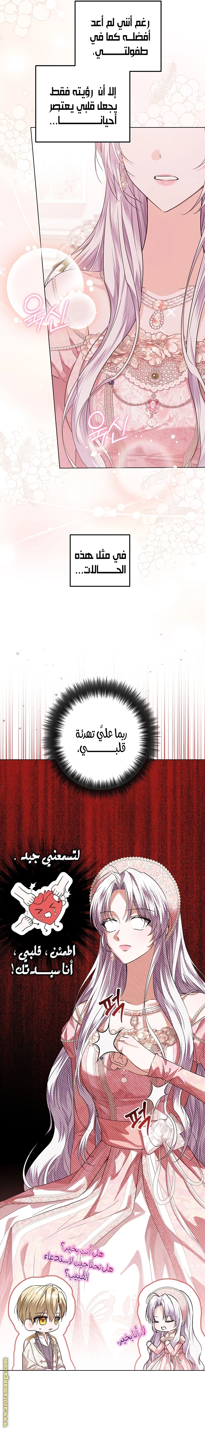 الصفحة 20