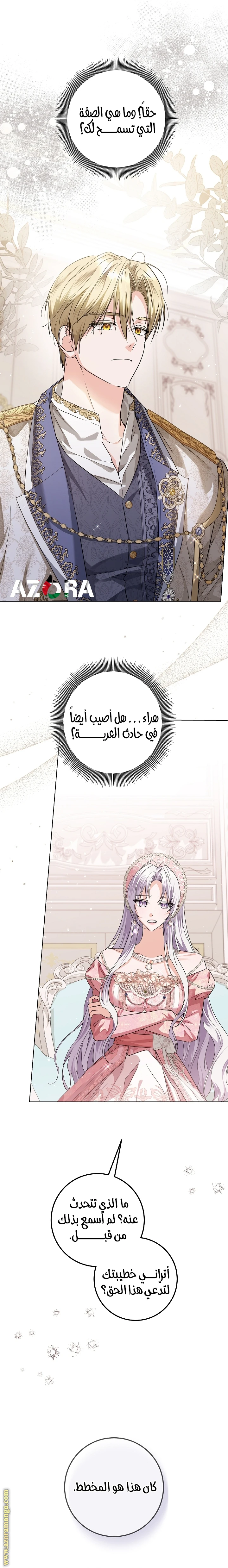 الصفحة 25