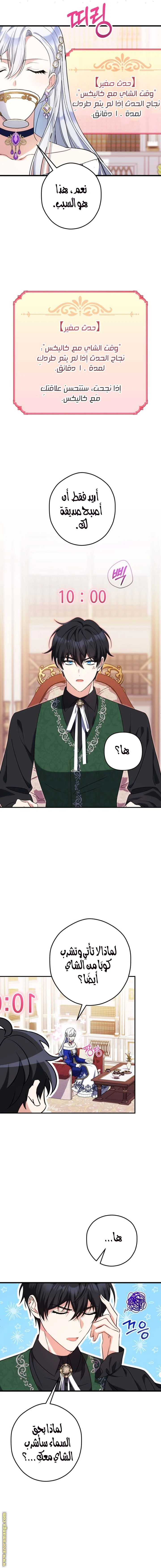 الصفحة 14