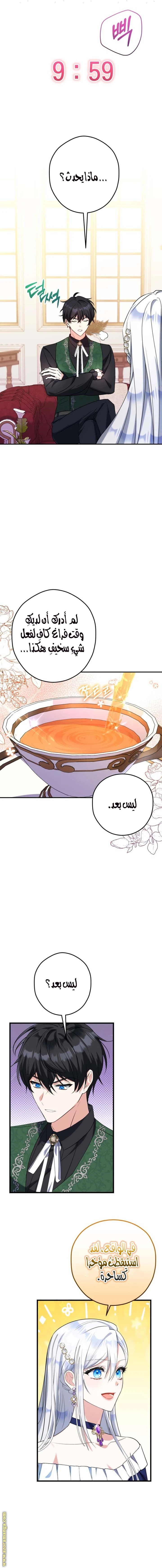 الصفحة 15