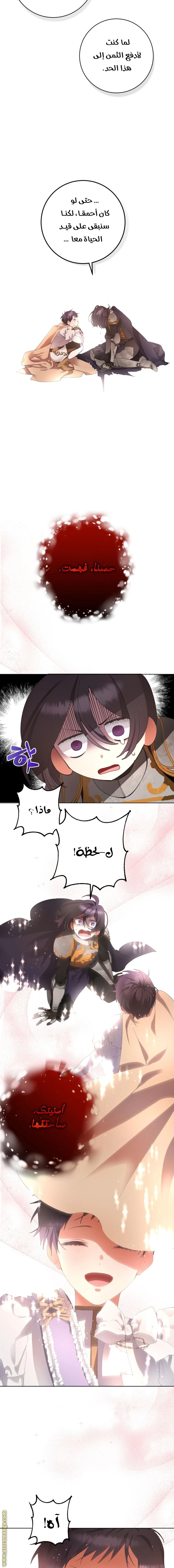 الصفحة 15