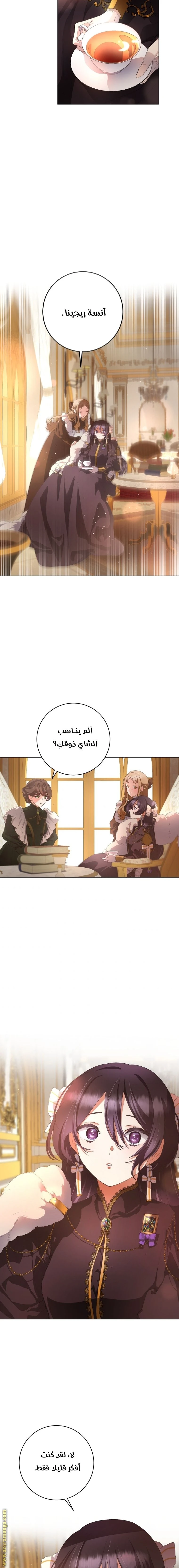 الصفحة 17