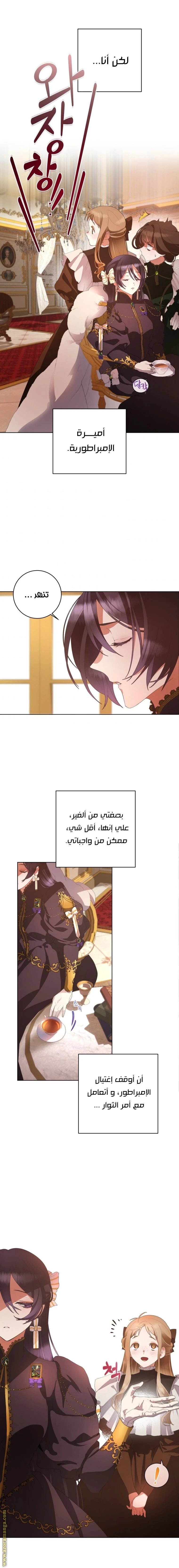 الصفحة 19