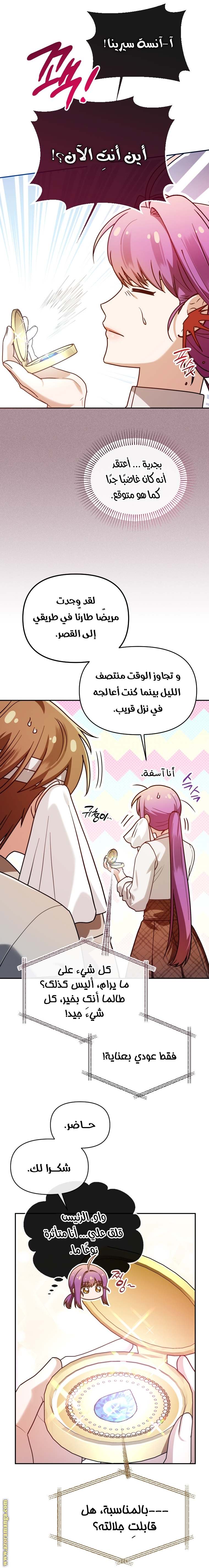 الصفحة 19