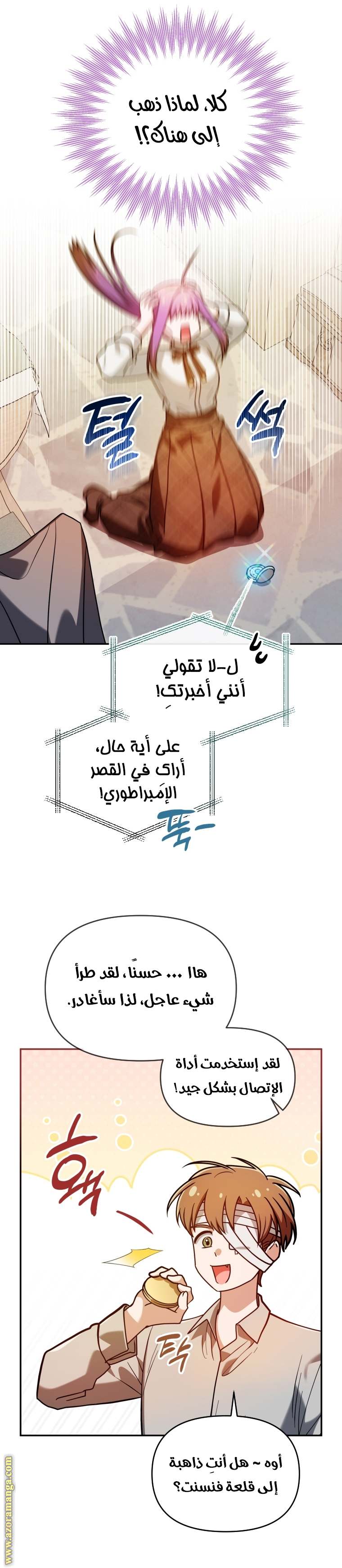 الصفحة 21
