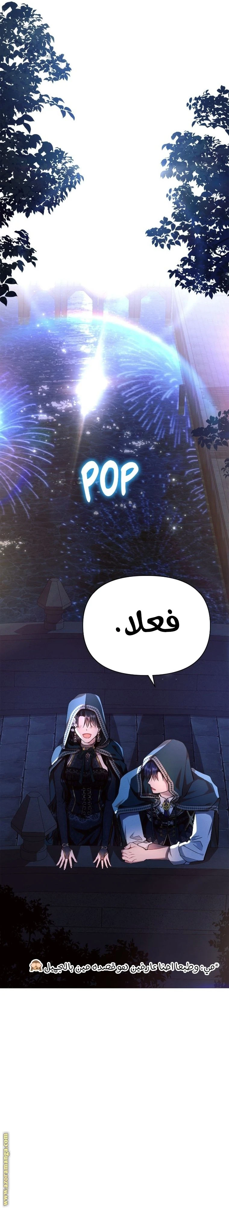 الصفحة 29