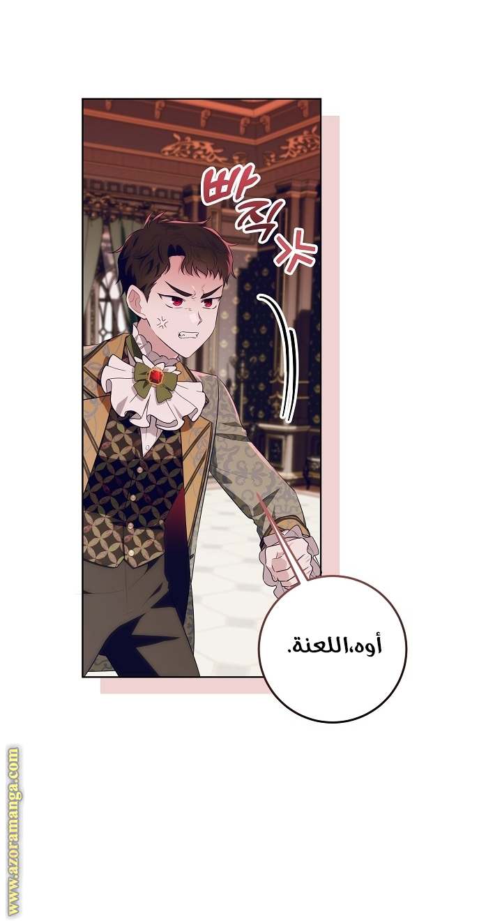 الصفحة 26