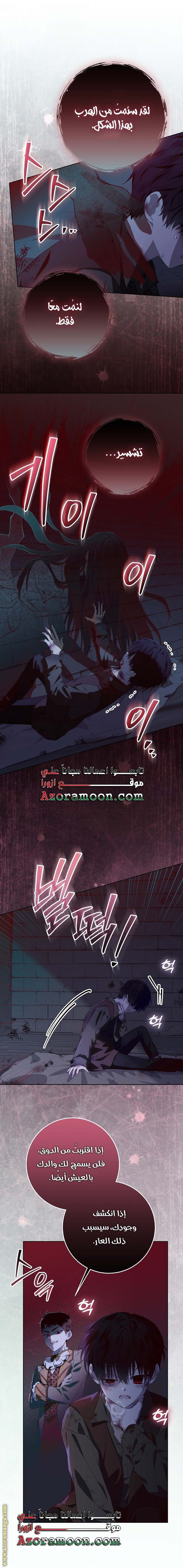 الصفحة 29