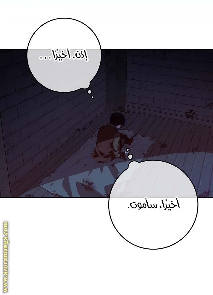 الصفحة 30