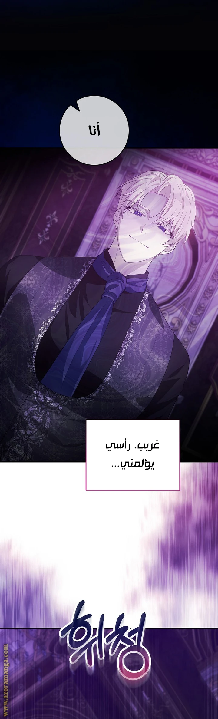 الصفحة 17
