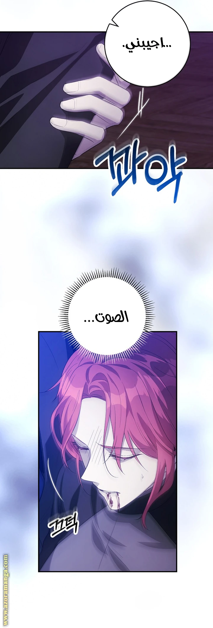 الصفحة 24
