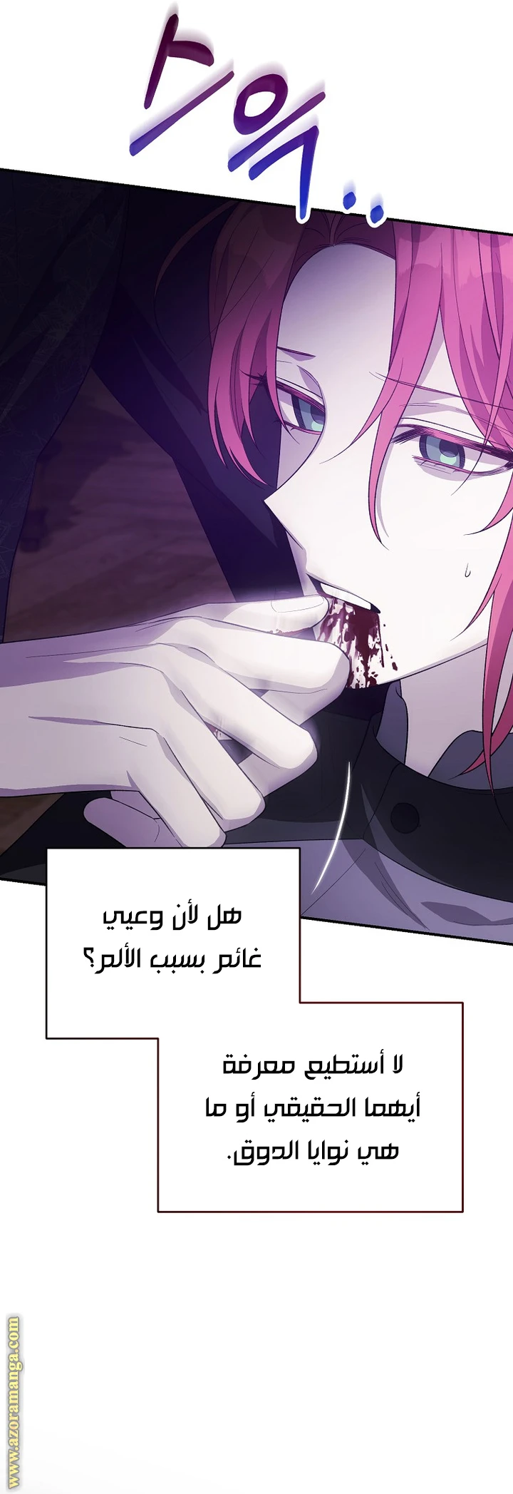 الصفحة 26