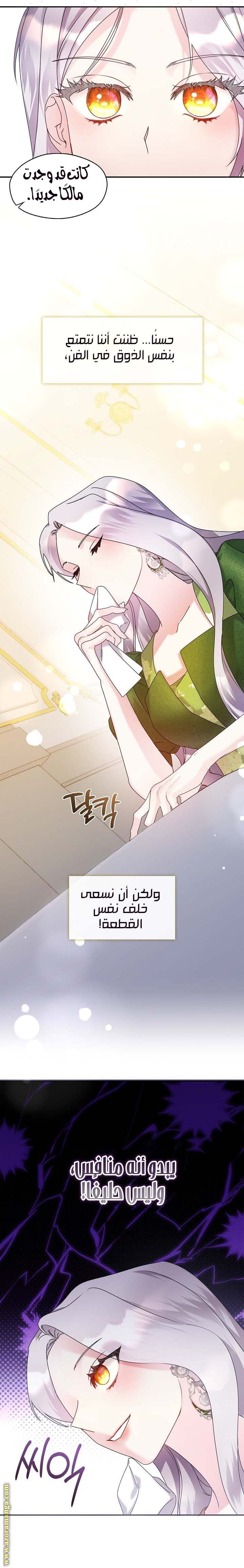 الصفحة 13