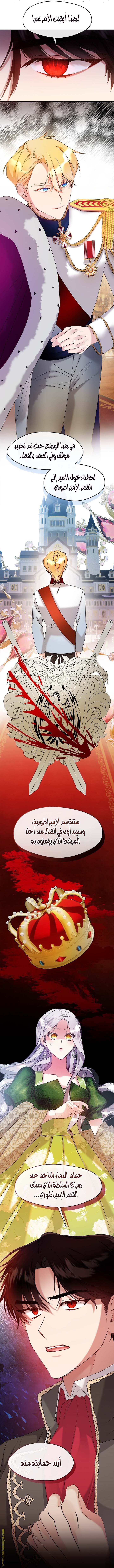 الصفحة 23