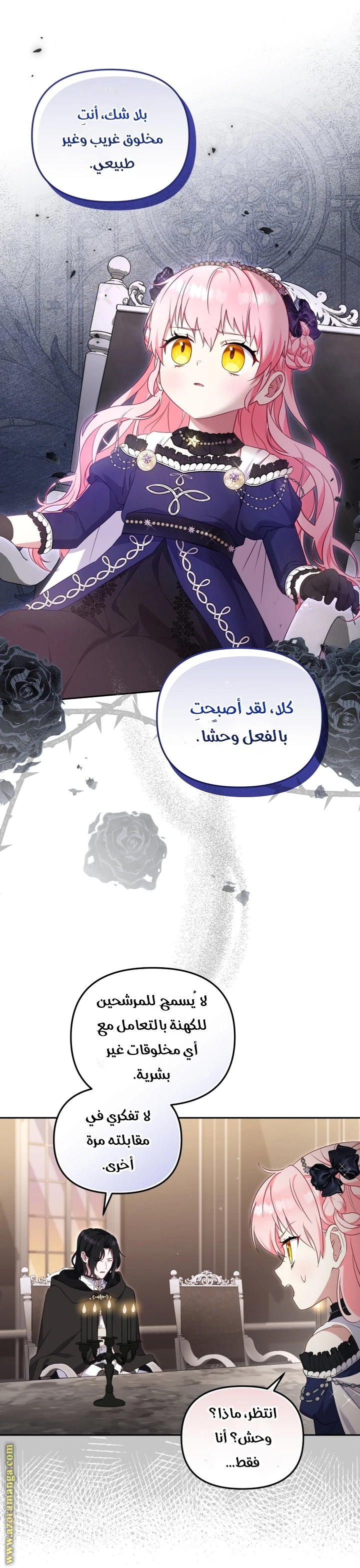الصفحة 19