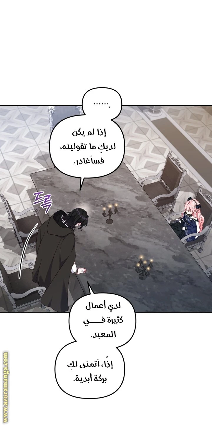 الصفحة 21